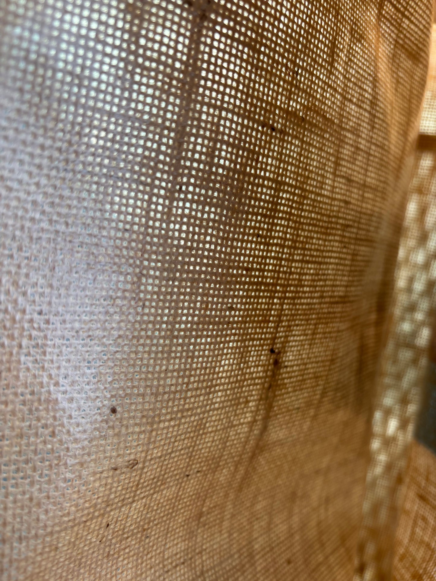 Summer Breeze Jute Tote